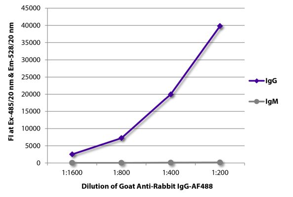Image: Goat IgG anti-Rabbit IgG (Fc)-Alexa Fluor 488, MinX none
