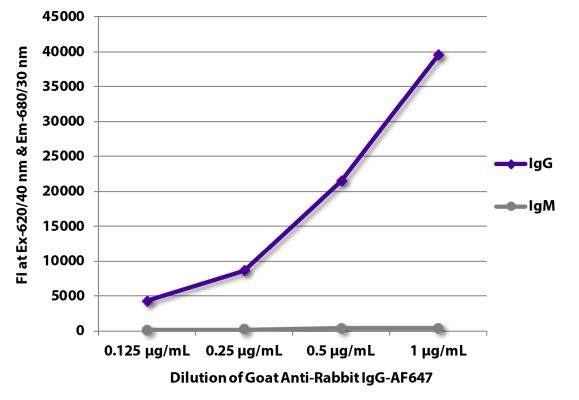 Abbildung: Ziege IgG anti-Kaninchen IgG (Fc)-Alexa Fluor 647, MinX keine