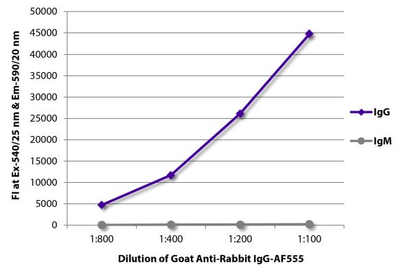 Abbildung: Ziege IgG anti-Kaninchen IgG (Fc)-Alexa Fluor 555, MinX keine