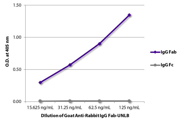 Abbildung: Ziege IgG anti-Kaninchen IgG (F(ab')2)-unkonj., MinX keine