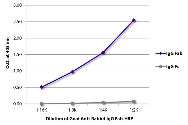 Abbildung: Ziege IgG anti-Kaninchen IgG (F(ab')2)-HRPO, MinX keine