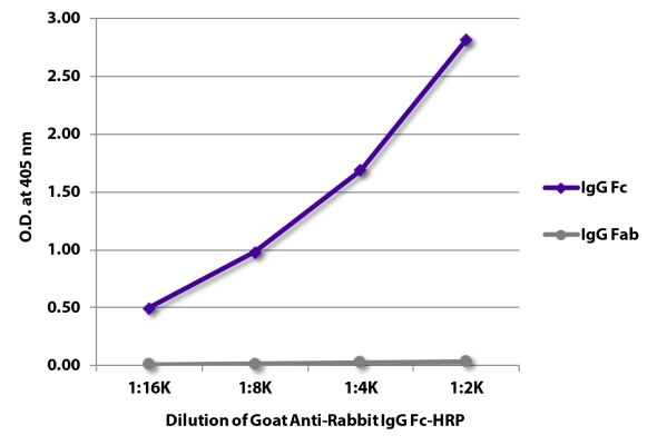 Abbildung: Ziege IgG anti-Kaninchen IgG (Fc)-HRPO, MinX keine
