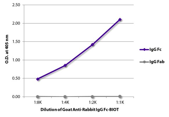 Abbildung: Ziege IgG anti-Kaninchen IgG (Fc)-Biotin, MinX keine