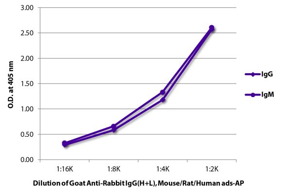 Abbildung: Ziege IgG anti-Kaninchen IgG (H+L)-Alk. Phos., MinX Ms,Rt,Hu