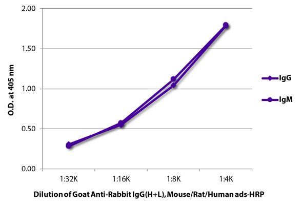 Abbildung: Ziege IgG anti-Kaninchen IgG (H+L)-HRPO, MinX Ms,Rt,Hu