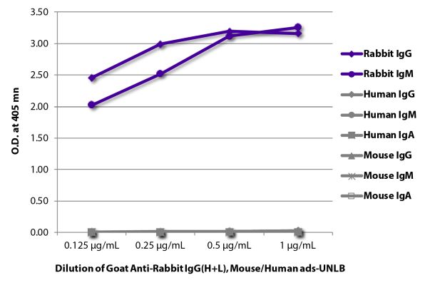 Abbildung: Ziege IgG anti-Kaninchen IgG (H+L)-unkonj., MinX Ms,Hu