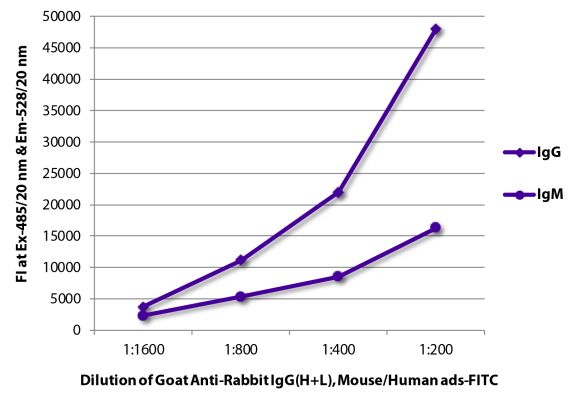 Image: Goat IgG anti-Rabbit IgG (H+L)-FITC, MinX Ms,Hu