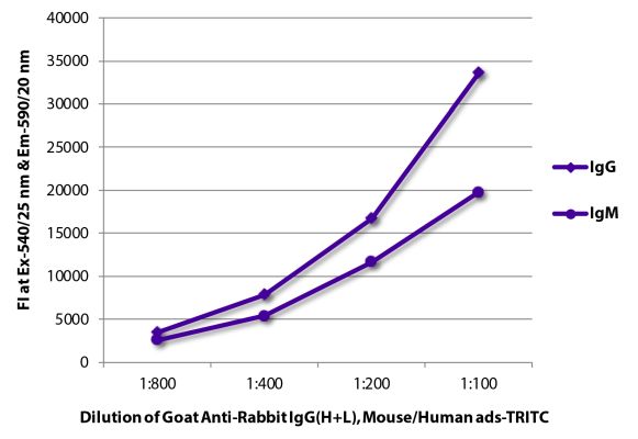 Abbildung: Ziege IgG anti-Kaninchen IgG (H+L)-TRITC, MinX Ms,Hu
