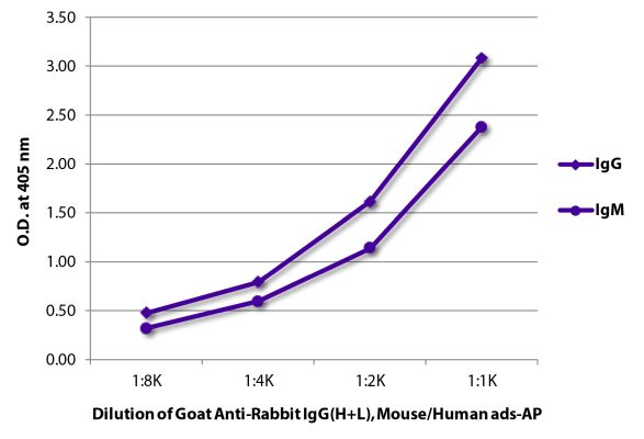 Image: Goat IgG anti-Rabbit IgG (H+L)-Alk. Phos., MinX Ms,Hu