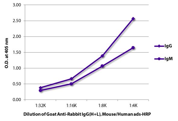 Abbildung: Ziege IgG anti-Kaninchen IgG (H+L)-HRPO, MinX Ms,Hu
