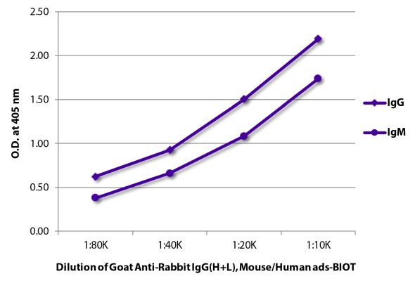 Image: Goat IgG anti-Rabbit IgG (H+L)-Biotin, MinX Ms,Hu