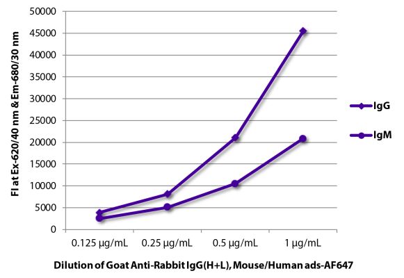 Image: Goat IgG anti-Rabbit IgG (H+L)-Alexa Fluor 647, MinX Ms,Hu
