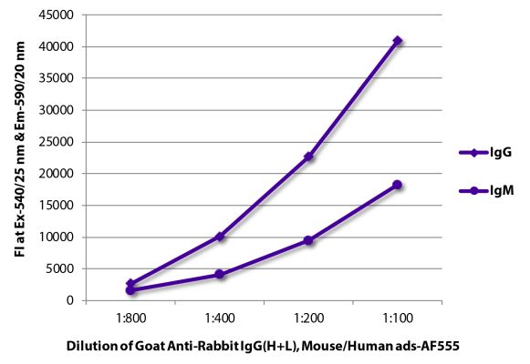 Abbildung: Ziege IgG anti-Kaninchen IgG (H+L)-Alexa Fluor 555, MinX Ms,Hu