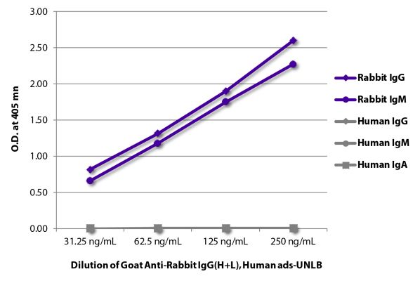 Image: Goat IgG anti-Rabbit IgG (H+L)-unconj., MinX Hu