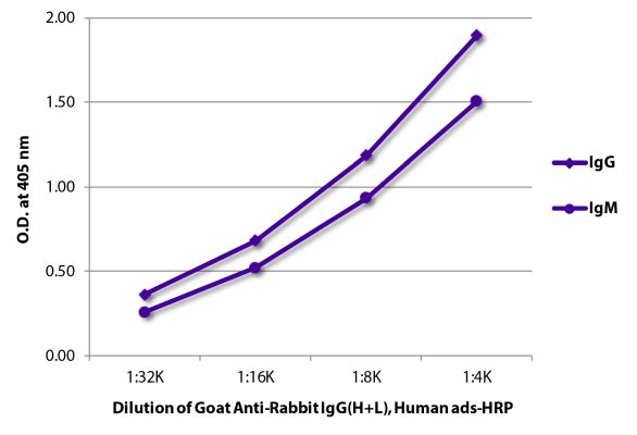 Abbildung: Ziege IgG anti-Kaninchen IgG (H+L)-HRPO, MinX Hu