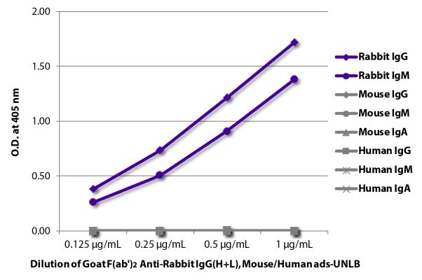 Image: Goat F(ab')2 anti-Rabbit IgG (H+L)-unconj., MinX Ms,Hu