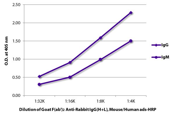Image: Goat F(ab')2 anti-Rabbit IgG (H+L)-HRPO, MinX Ms,Hu