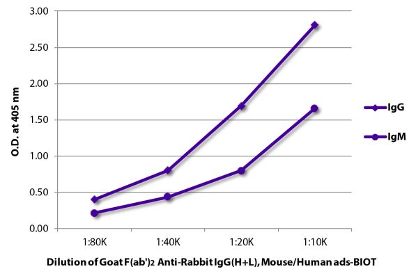 Image: Goat F(ab')2 anti-Rabbit IgG (H+L)-Biotin, MinX Ms,Hu