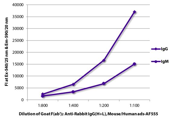 Image: Goat F(ab')2 anti-Rabbit IgG (H+L)-Alexa Fluor 555, MinX Ms,Hu