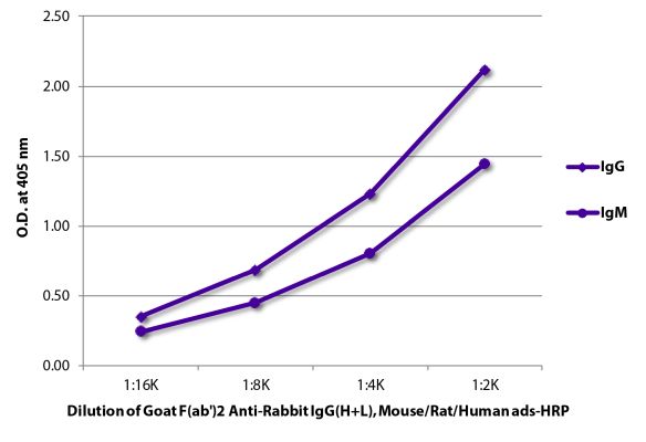 Image: Goat F(ab')2 anti-Rabbit IgG (H+L)-HRPO, MinX Ms,Rt,Hu