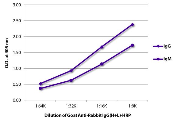 Abbildung: Ziege IgG anti-Kaninchen IgG (H+L)-HRPO, MinX keine