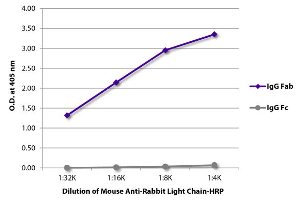 Abbildung: Maus IgG anti-Kaninchen Kappa/Lambda-HRPO, MinX keine