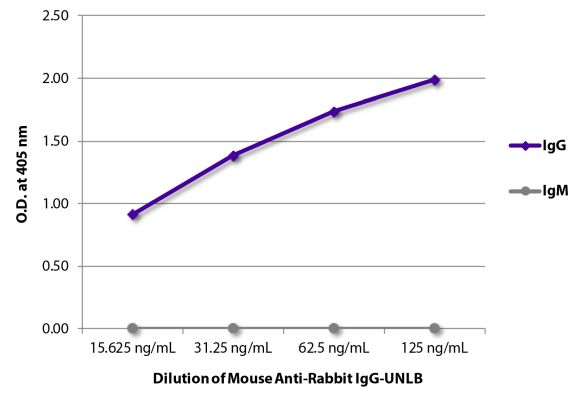 Abbildung: Maus IgG anti-Kaninchen IgG (Fc)-unkonj., MinX keine