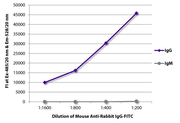 Abbildung: Maus IgG anti-Kaninchen IgG (Fc)-FITC, MinX keine