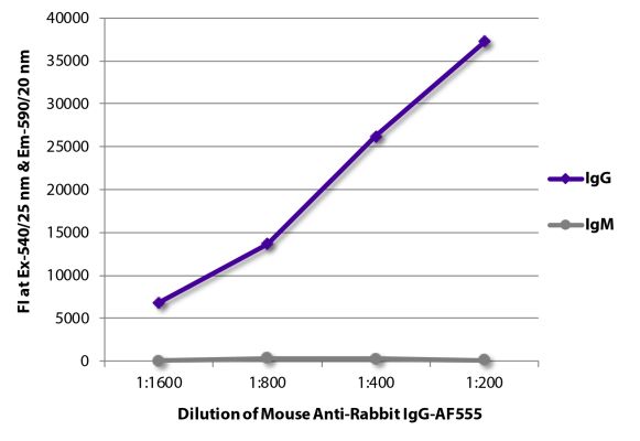 Abbildung: Maus IgG anti-Kaninchen IgG (Fc)-Alexa Fluor 555, MinX keine