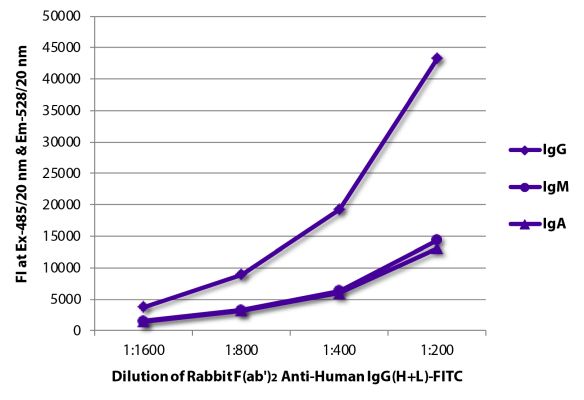 Image: Rabbit F(ab')2 anti-Human IgG (H+L)-FITC, MinX none