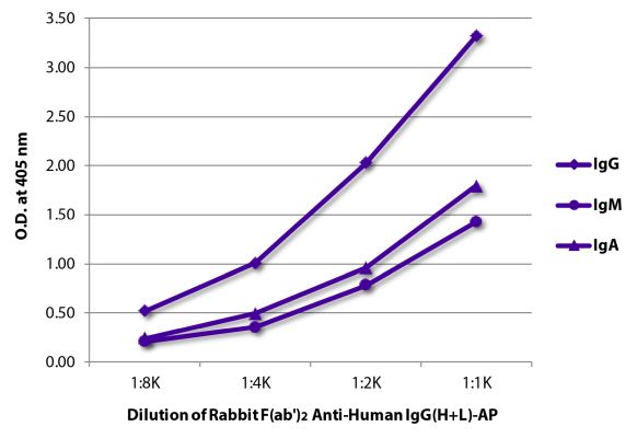 Image: Rabbit F(ab')2 anti-Human IgG (H+L)-Alk. Phos., MinX none