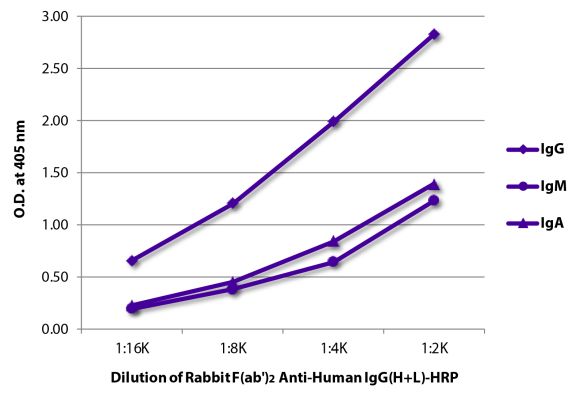 Image: Rabbit F(ab')2 anti-Human IgG (H+L)-HRPO, MinX none