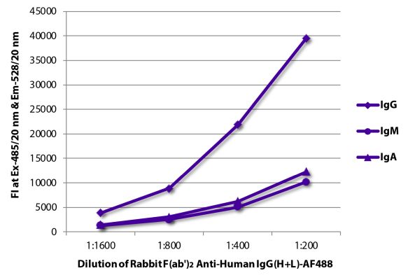 Abbildung: Kaninchen F(ab')2 anti-Human IgG (H+L)-Alexa Fluor 488, MinX keine