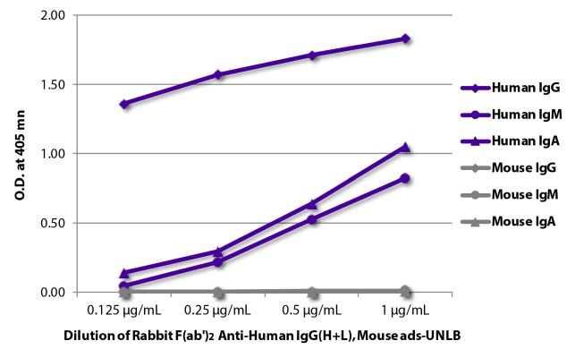 Image: Rabbit F(ab')2 anti-Human IgG (H+L)-unconj., MinX Ms