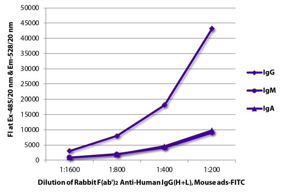 Abbildung: Kaninchen F(ab')2 anti-Human IgG (H+L)-FITC, MinX Ms