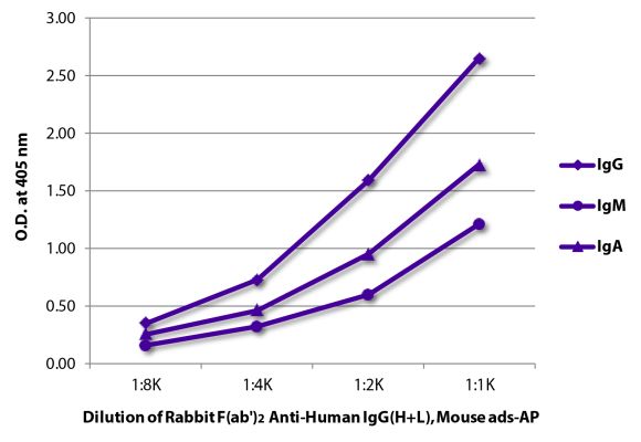 Image: Rabbit F(ab')2 anti-Human IgG (H+L)-Alk. Phos., MinX Ms