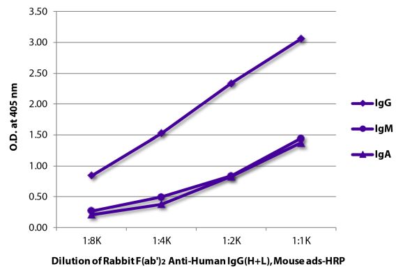 Image: Rabbit F(ab')2 anti-Human IgG (H+L)-HRPO, MinX Ms