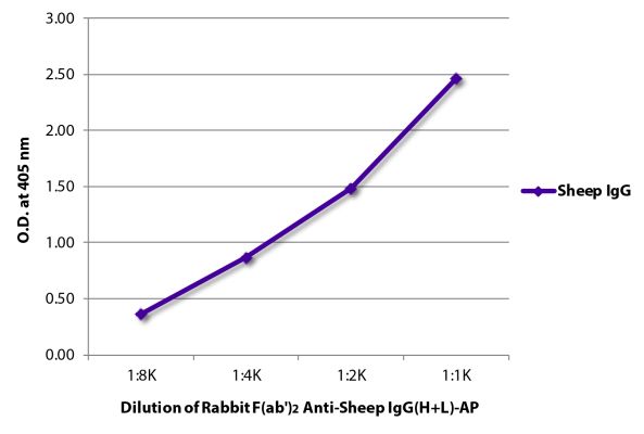 Image: Rabbit F(ab')2 anti-Sheep IgG (H+L)-Alk. Phos., MinX none