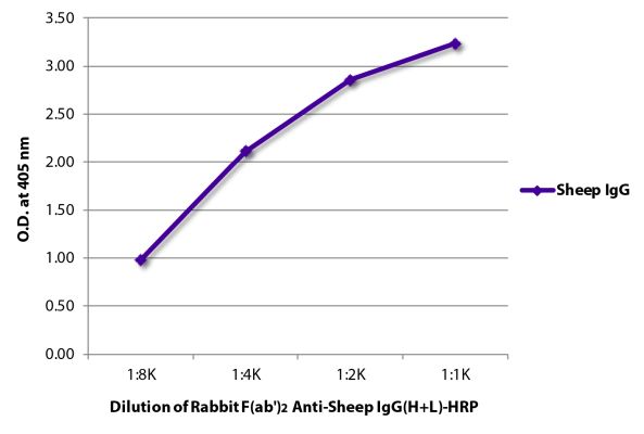 Abbildung: Kaninchen F(ab')2 anti-Schaf IgG (H+L)-HRPO, MinX keine