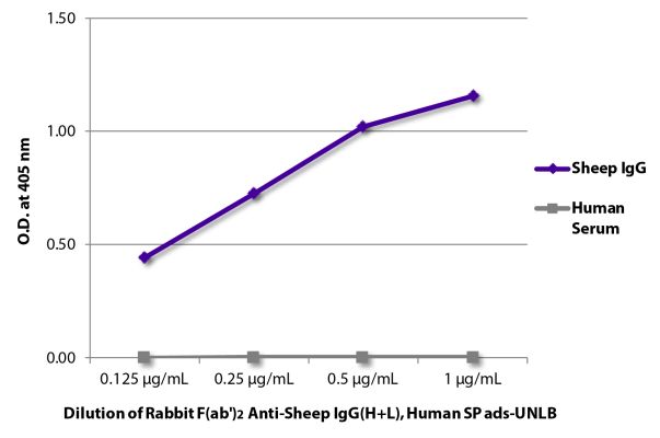 Image: Rabbit F(ab')2 anti-Sheep IgG (H+L)-unconj., MinX Hu