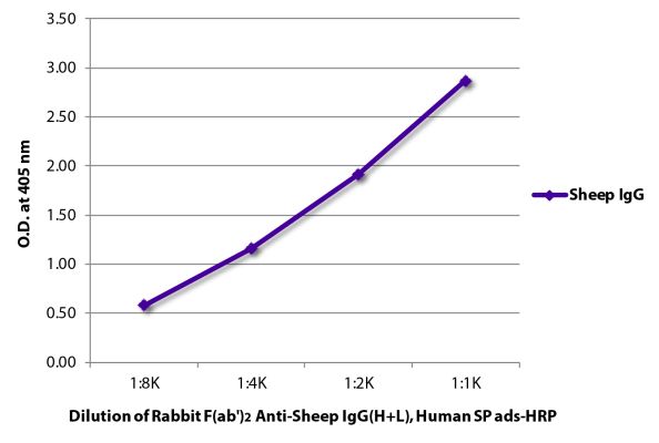 Image: Rabbit F(ab')2 anti-Sheep IgG (H+L)-HRPO, MinX Hu