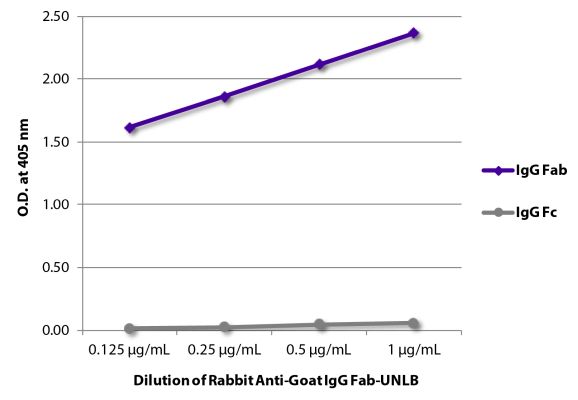 Abbildung: Kaninchen IgG anti-Ziege IgG (F(ab')2)-unkonj., MinX keine