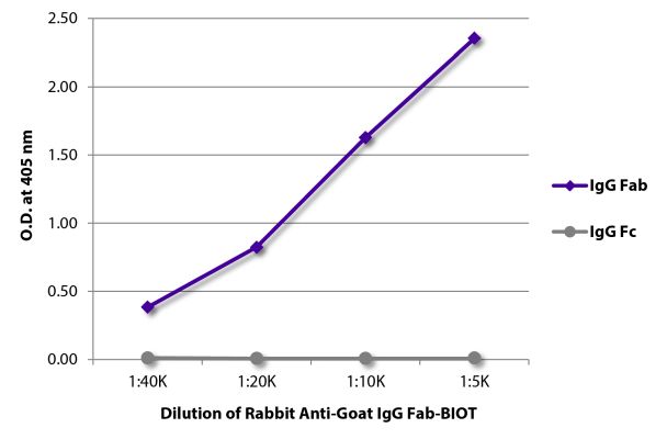 Abbildung: Kaninchen IgG anti-Ziege IgG (F(ab')2)-Biotin, MinX keine