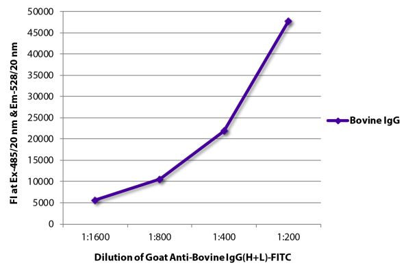 Abbildung: Ziege IgG anti-Rind IgG (H+L)-FITC, MinX keine
