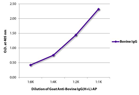 Abbildung: Ziege IgG anti-Rind IgG (H+L)-Alk. Phos., MinX keine