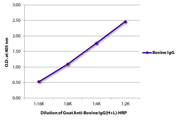 Abbildung: Ziege IgG anti-Rind IgG (H+L)-HRPO, MinX keine