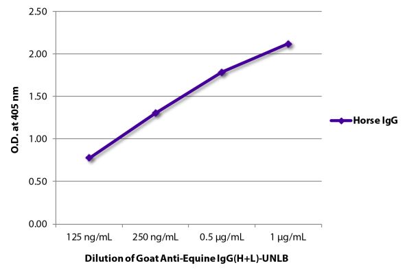 Abbildung: Ziege IgG anti-Pferd IgG (H+L)-unkonj., MinX keine