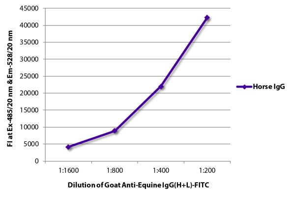 Abbildung: Ziege IgG anti-Pferd IgG (H+L)-FITC, MinX keine