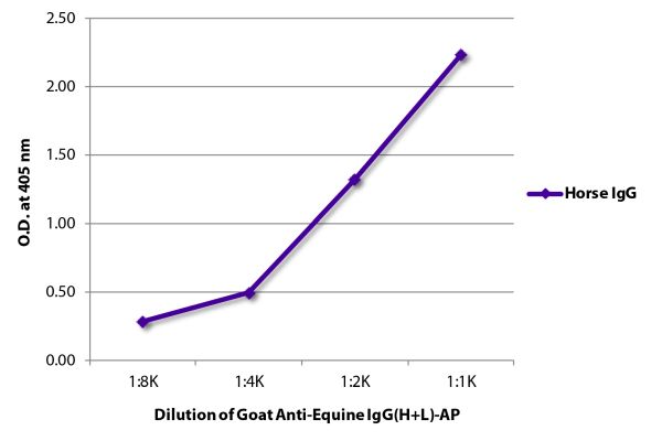 Abbildung: Ziege IgG anti-Pferd IgG (H+L)-Alk. Phos., MinX keine