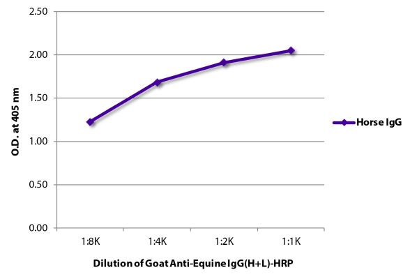 Abbildung: Ziege IgG anti-Pferd IgG (H+L)-HRPO, MinX keine